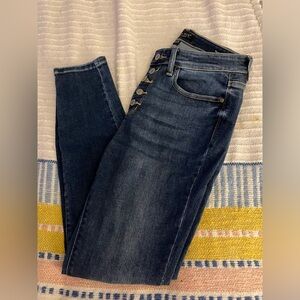 Women’s Judy Blue Skinny Fit Jeans Size 9/29 like new. Button Fly.